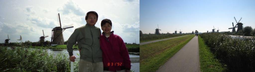 常見的 Kinderdijk 取景。